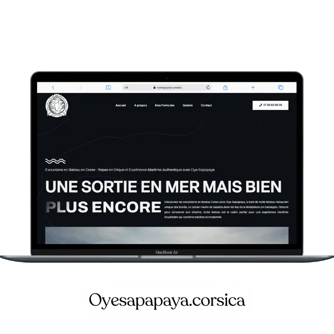 Création de site web pour Oye Sapapaya — Marque & créations | Weboccitanie